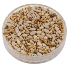 Ark Hearty™ Mealworm Mix
