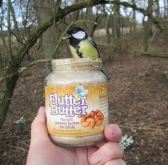 Flutter Peanut Butter For Birds