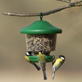 My Favourites Seed Feeder