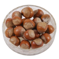 Hazelnut In Shell