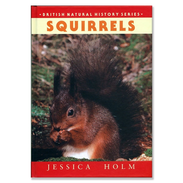 Squirrels By Jessica Holm