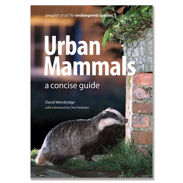 Urban Mammals by David Wembridge