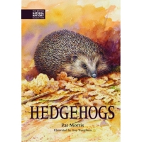Hedgehogs by Pat Morris