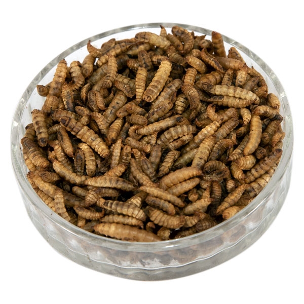Dried Calcium Worms