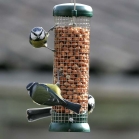 Bird Lovers Nut Feeder
