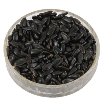 Choice Black Sunflower Seeds