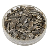 Large Striped Sunflower Seeds