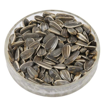 Large Striped Sunflower Seeds