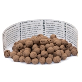 Ark Seed Balls Butterfly Mix