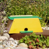 Mini Beast Bumblebee Nest Box