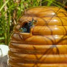 Ceramic Bumblebee and Mammal Nester