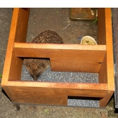 Hedgehog Feeding Station