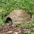 Dome Hedgehog House