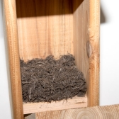 Nest Box Starter Material